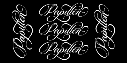 Beautiful Heliography Script Font Poster 3