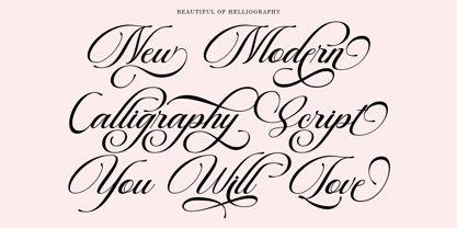 Beautiful Heliography Script Font Poster 8