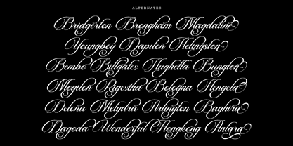 Beautiful Heliography Script Font Poster 7