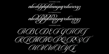 Beautiful Heliography Script Font Poster 6