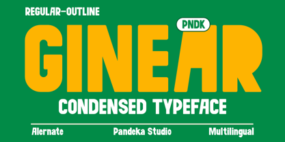 Ginear Font Poster 1