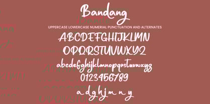 Bandang Font Poster 5