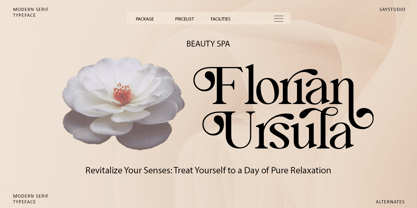 Blue Mirage Font Poster 8