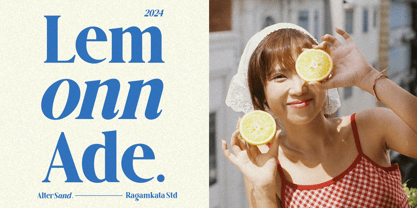 Alter Sand Font Poster 6