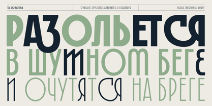 TA Sonatina Font Poster 15