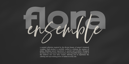 Oastine Font Poster 5