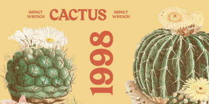 Bailey Retora Font Poster 8