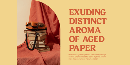 Bailey Retora Font Poster 10