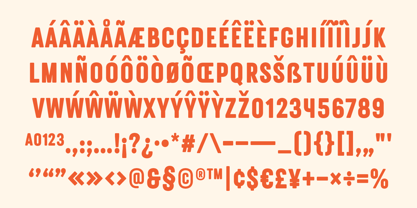 Astern Shade Font Poster 9