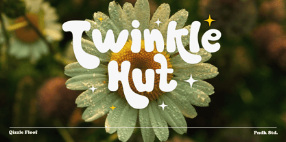 Qizzle Floof Font Poster 2