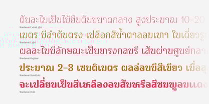 Wanlamai Font Poster 3