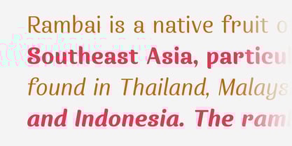 Wanlamai Font Poster 5