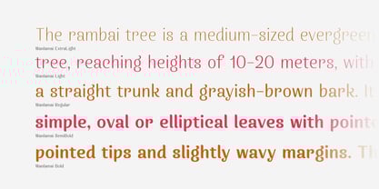 Wanlamai Font Poster 6