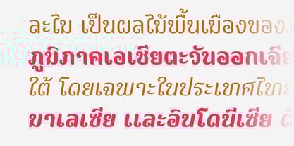 Wanlamai Font Poster 2