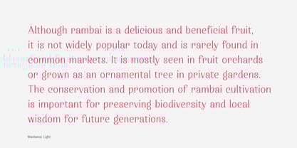 Wanlamai Font Poster 7