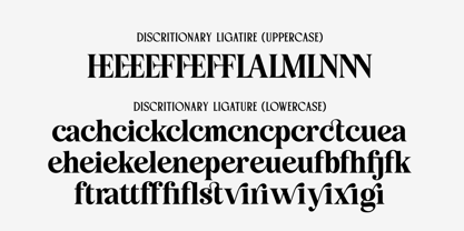 Loviena Font Poster 14