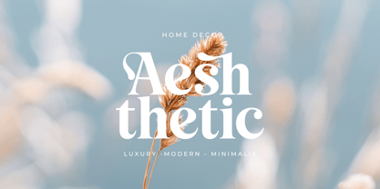 Loviena Font Poster 2