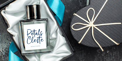 Bright Nastury Font Poster 9