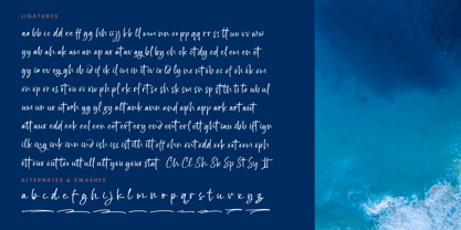 Bright Nastury Font Poster 14