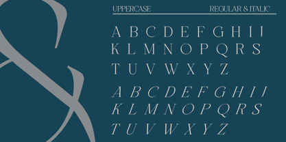 Golden Wave Font Poster 11