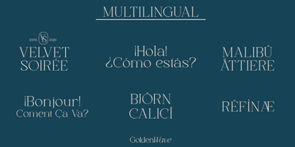 Golden Wave Font Poster 8