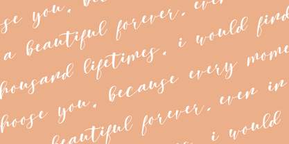 Ellovia Font Poster 7