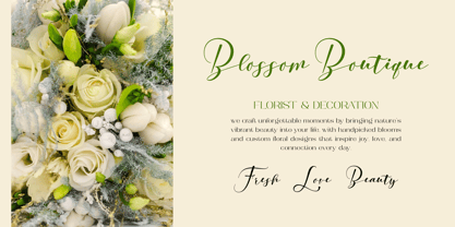 Ellovia Font Poster 9