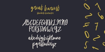 Great Harvest Font Poster 6