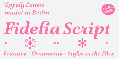 Fidelia Script Font Poster 2