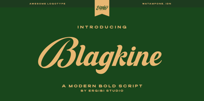 Blagkine Font Poster 1