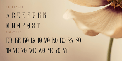 Serino Font Poster 4