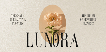 Serino Font Poster 9