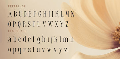 Serino Font Poster 2