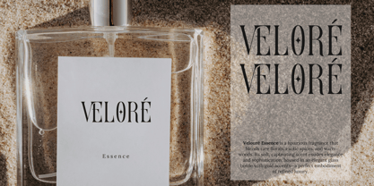 Serino Font Poster 6