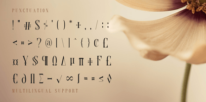 Serino Font Poster 3