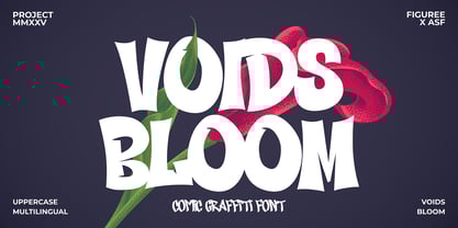 Voids Bloom Font Poster 1