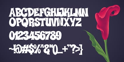 Voids Bloom Font Poster 3