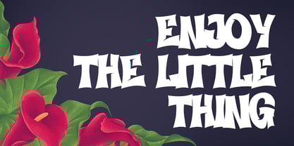 Voids Bloom Font Poster 2