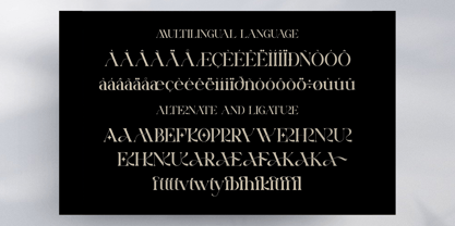 Aerisa Font Poster 10