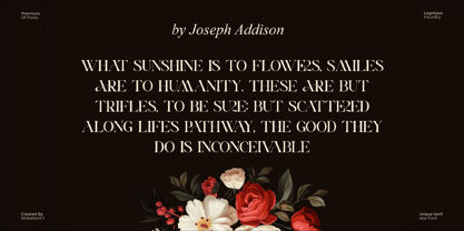 Aerisa Font Poster 3