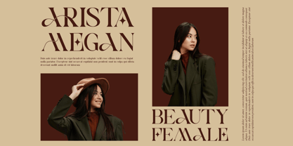 Aerisa Font Poster 2