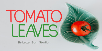Latonate Font Poster 2