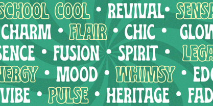 Hadney Buddy Font Poster 10