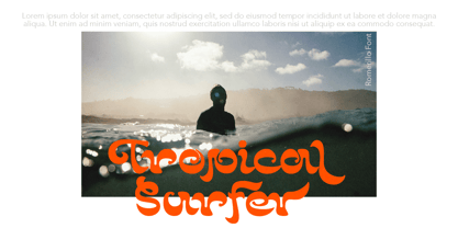 Romerillo Font Poster 9