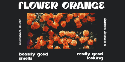 Rustie Font Poster 2