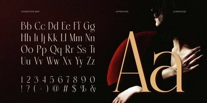 Basthan Font Poster 2