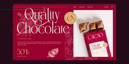 Basthan Font Poster 4