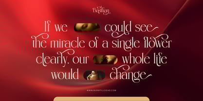 Basthan Font Poster 11