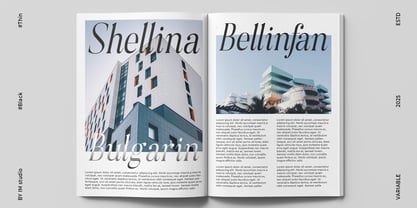 Muthilena Gothic Font Poster 9