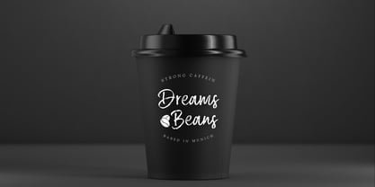 Briston Houster Font Poster 3